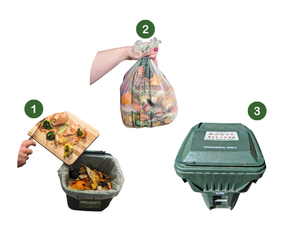 3 Steps to Compost