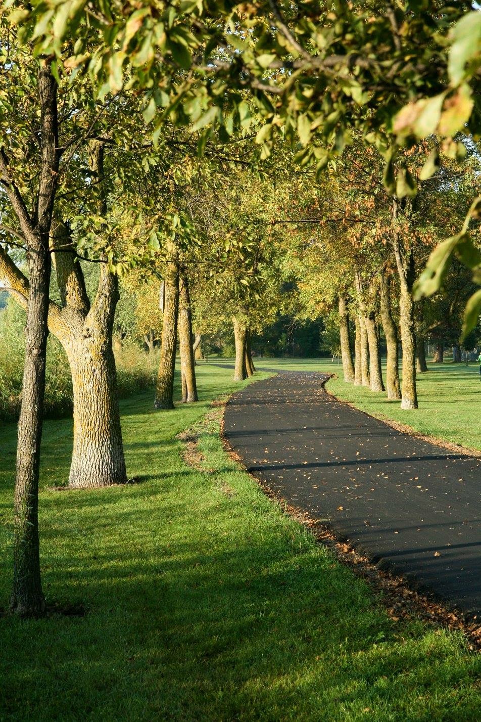 Riverside Trail Picture