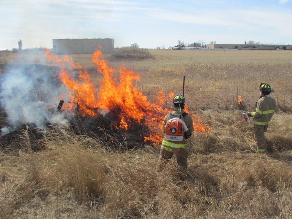 Two firefighters in protective gear stand near a large grass fire in an open field. One firefighter holds equipment while flames and smoke rise, with buildings visible in the background.